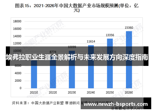埃弗拉职业生涯全景解析与未来发展方向深度指南