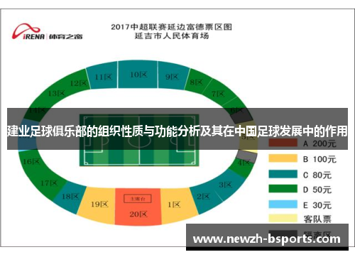 建业足球俱乐部的组织性质与功能分析及其在中国足球发展中的作用
