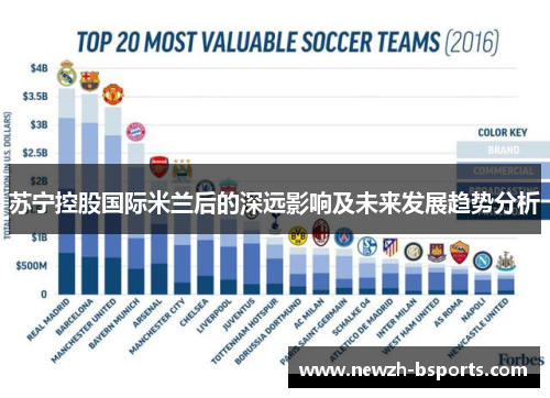 苏宁控股国际米兰后的深远影响及未来发展趋势分析